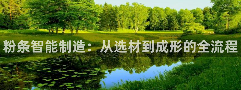 九游会首页进入